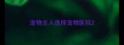 宠物主人选择宠物医院
