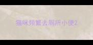猫咪频繁去厕所小便
