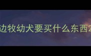 边牧幼犬要买什么东西