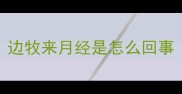 边牧来月经是怎么回事
