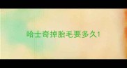 哈士奇掉胎毛要多久