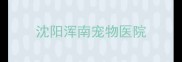 沈阳浑南宠物医院