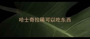 哈士奇拉稀可以吃东西