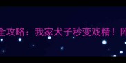 泰迪装死训练全攻略我家犬子秒变戏精附超萌教学视频