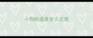 小狗的温度多少正常