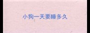小狗一天要睡多久