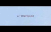 九个月雪纳瑞体重