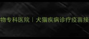 深圳西丽五环24小时宠物专科医院犬猫疾病诊疗疫苗接种急诊手术一站式服务