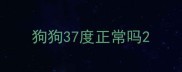狗狗37度正常吗