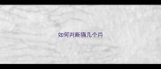 如何判断猫几个月