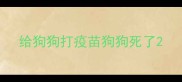 给狗狗打疫苗狗狗死了