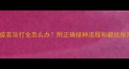 狗狗疫苗没打全怎么办附正确接种流程和避坑指南