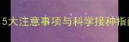 冬季狗狗疫苗全攻略5大注意事项与科学接种指南附疫苗类型对比