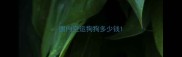 国内空运狗狗多少钱