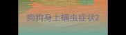 狗狗身上螨虫症状