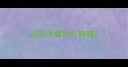 边牧不睡什么狗窝