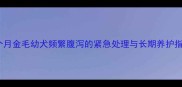 六个月金毛幼犬频繁腹泻的紧急处理与长期养护指南