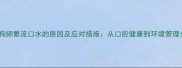狗狗频繁流口水的原因及应对措施从口腔健康到环境管理全