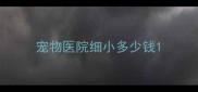 宠物医院细小多少钱