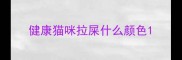 健康猫咪拉屎什么颜色