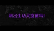 刚出生幼犬疫苗吗