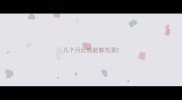 几个月比熊能够洗澡