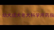 边牧驱虫时间表幼犬成犬老犬科学用药指南附用药误区