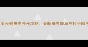 边境牧羊犬健康零食全攻略最新推荐清单与科学喂养指南