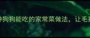 金毛犬主人必看5种狗狗能吃的家常菜做法让毛孩子吃得健康又满足