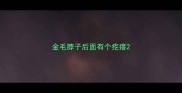 金毛脖子后面有个疙瘩