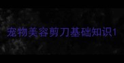 宠物美容剪刀基础知识