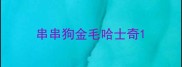 串串狗金毛哈士奇