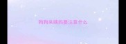 狗狗来姨妈要注意什么