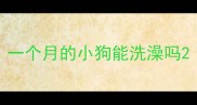 一个月的小狗能洗澡吗