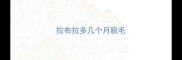 拉布拉多几个月脱毛