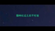 猫咪吐过之后不吃饭