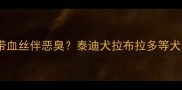 宠物犬便血带血丝伴恶臭泰迪犬拉布拉多等犬种常见病因