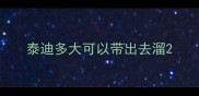 泰迪多大可以带出去溜