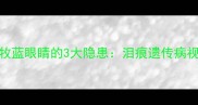 警惕边牧蓝眼睛的3大隐患泪痕遗传病视力损伤全攻略