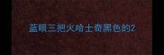 蓝眼三把火哈士奇黑色的