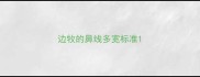 边牧的鼻线多宽标准