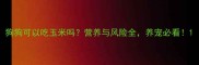 狗狗可以吃玉米吗营养与风险全养宠必看