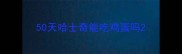 50天哈士奇能吃鸡蛋吗