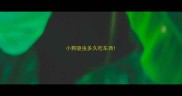 小狗驱虫多久吃东西