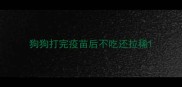 狗狗打完疫苗后不吃还拉稀