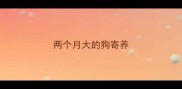 两个月大的狗寄养