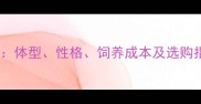 小体大体泰迪犬全体型性格饲养成本及选购指南附对比表