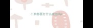 小狗都要打什么疫苗吗