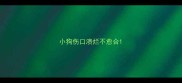 小狗伤口溃烂不愈合