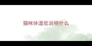 猫咪体温低说明什么
